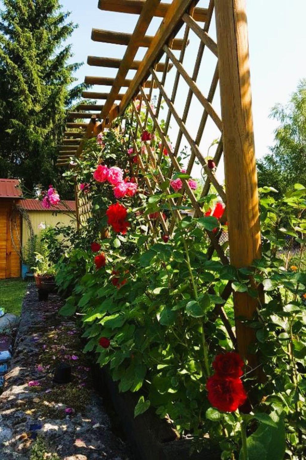 Villa Olszyna Pod Brzoza Esterno foto