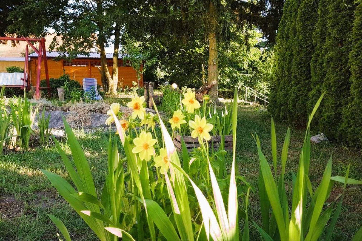 Villa Olszyna Pod Brzoza Esterno foto