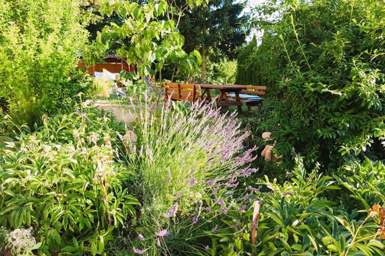 Villa Olszyna Pod Brzoza Esterno foto